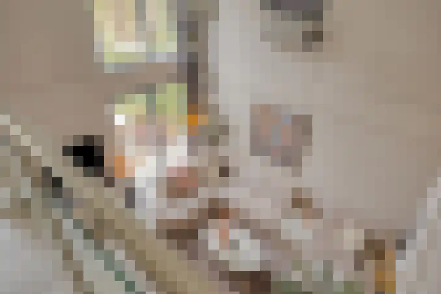 Vijverlaan 1 BG67 Otterlo thumbnail 17
