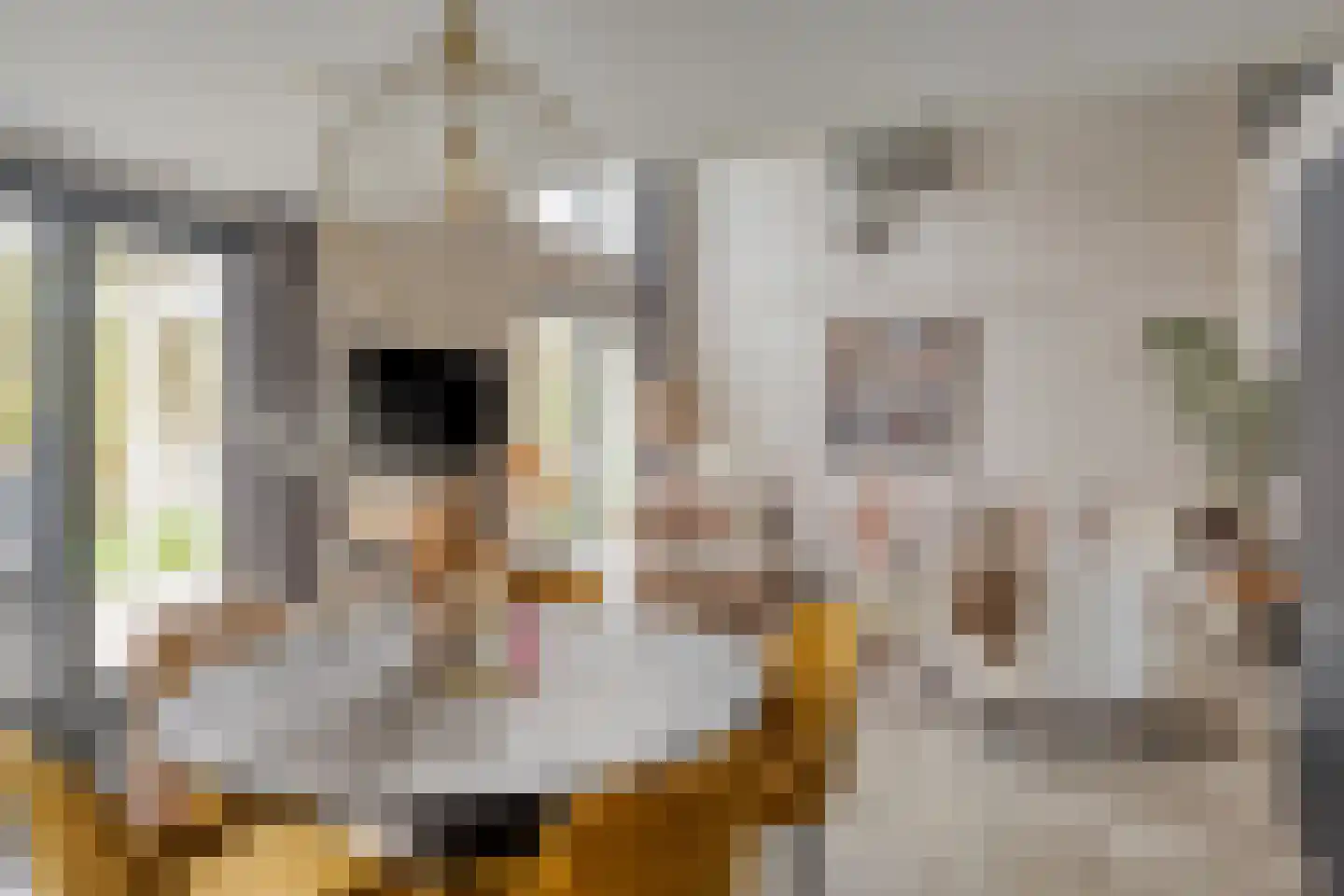 Vijverlaan 1 BG67 Otterlo thumbnail 23