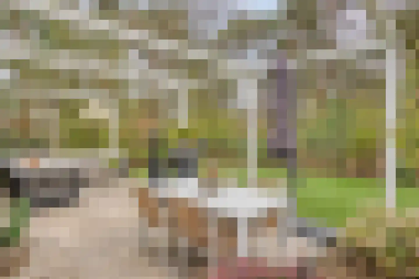 Vijverlaan 1 BG67 Otterlo foto 3