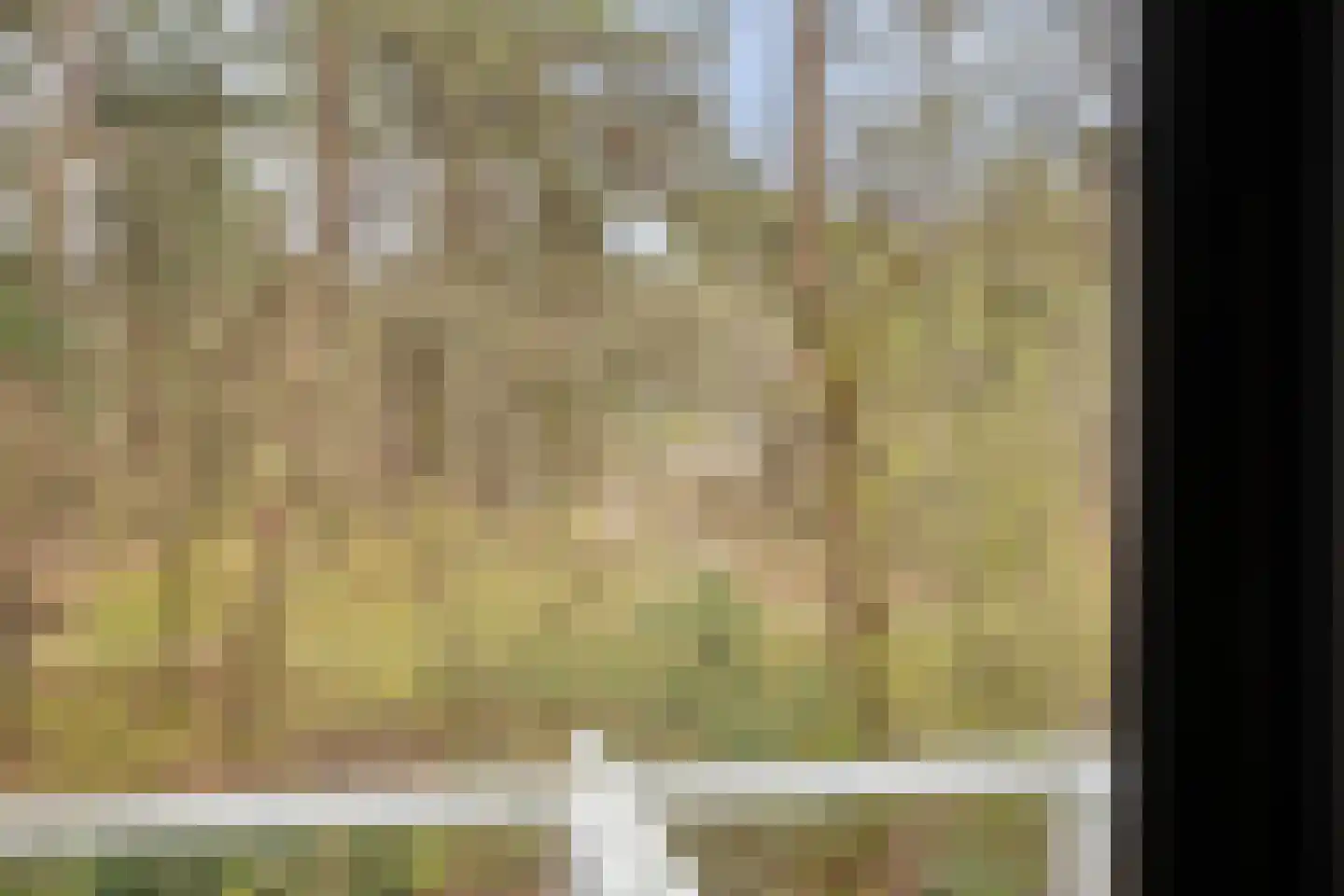 Vijverlaan 1 BG67 Otterlo thumbnail 39