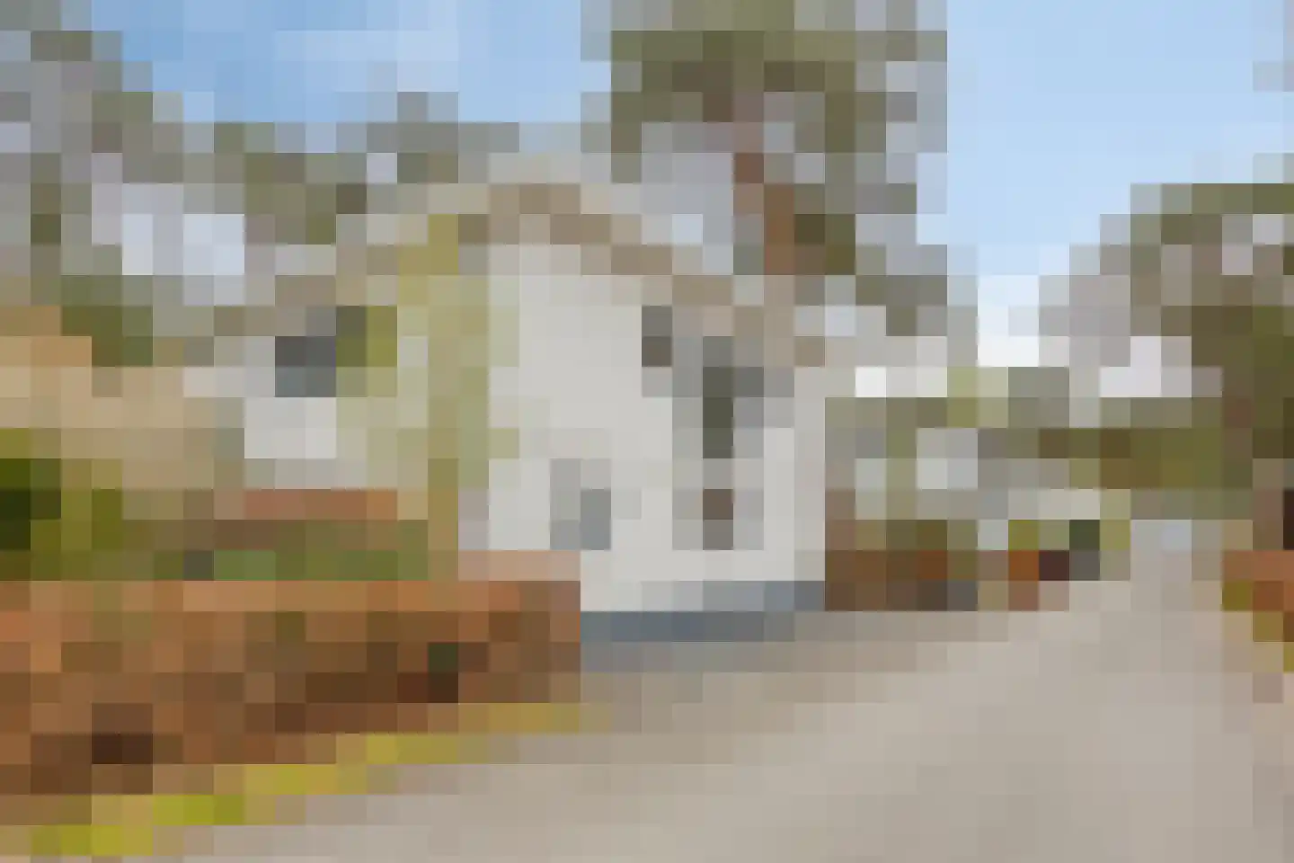 Vijverlaan 1 BG67 Otterlo thumbnail 5