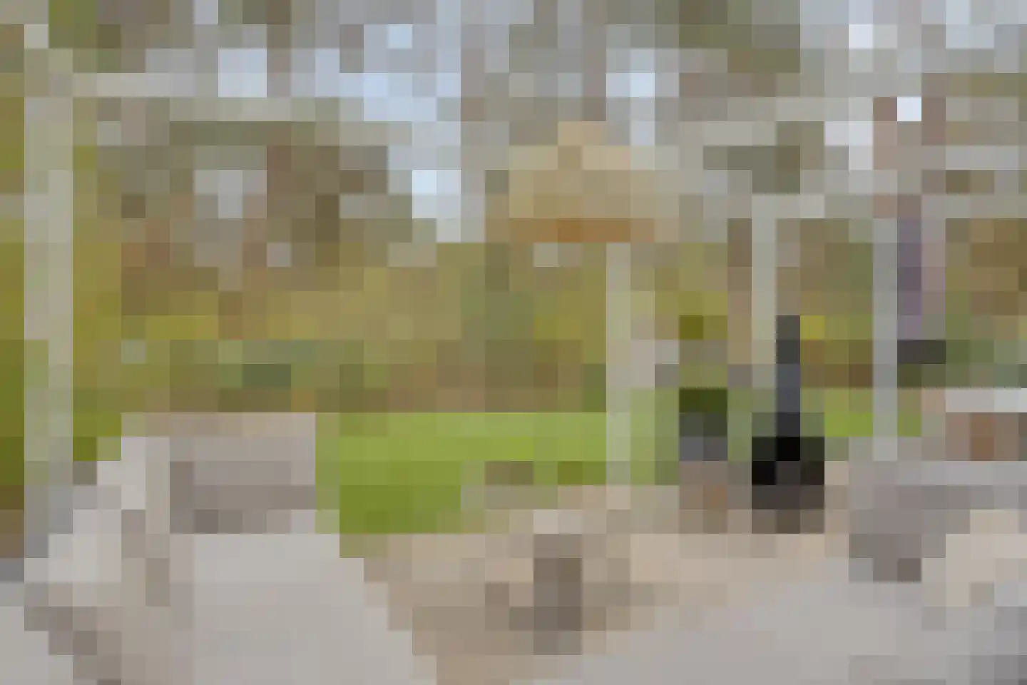 Vijverlaan 1 BG67 Otterlo thumbnail 50
