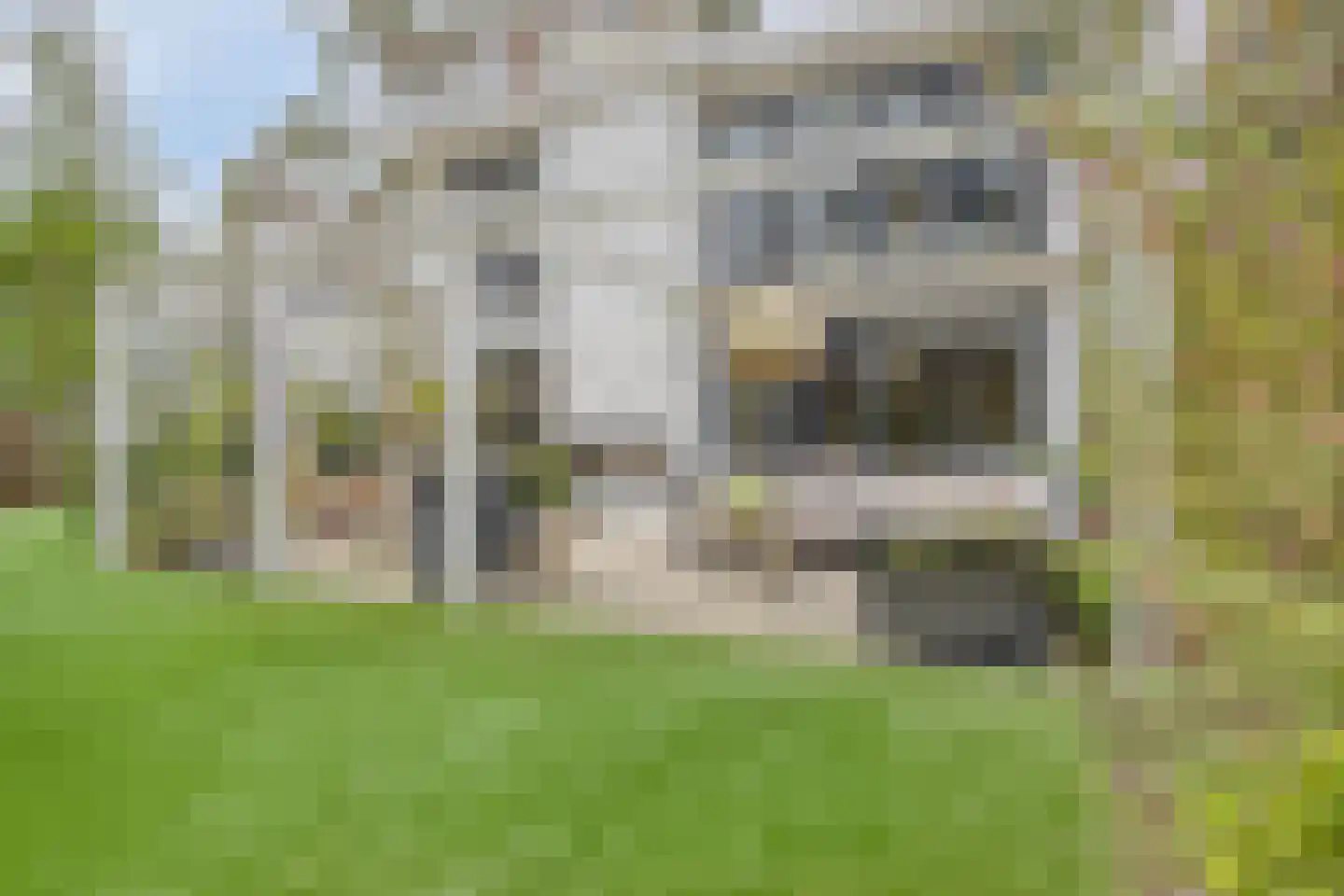 Vijverlaan 1 BG67 Otterlo thumbnail 52