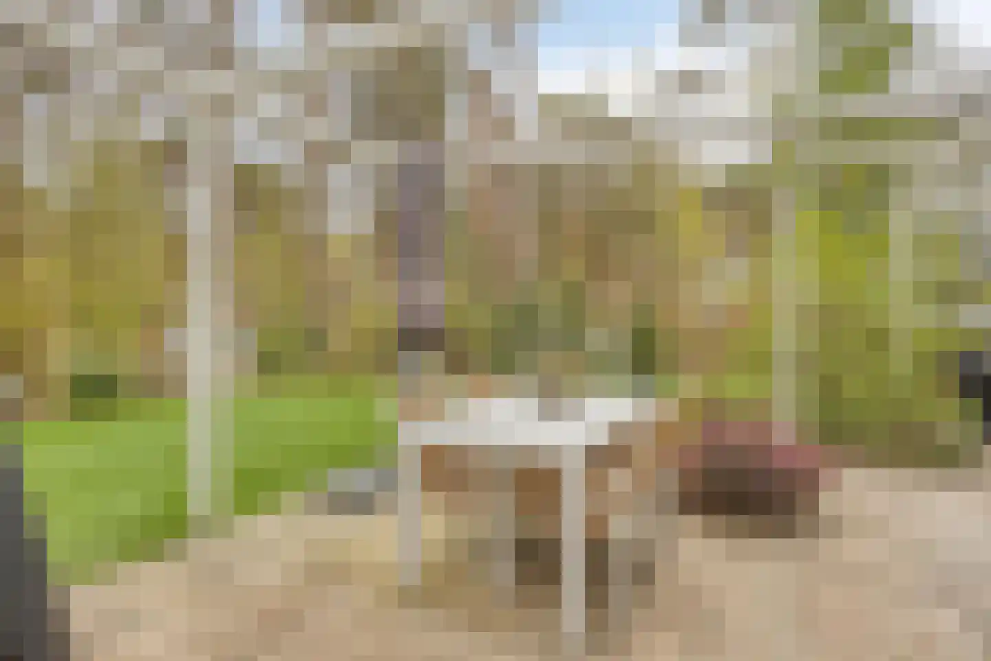 Vijverlaan 1 BG67 Otterlo thumbnail 57