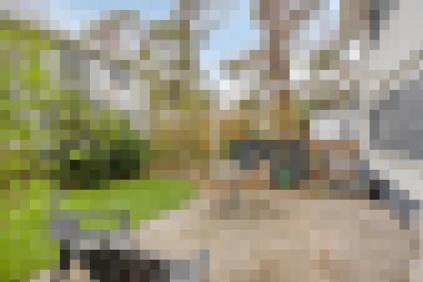 Vijverlaan 1 BG67 Otterlo thumbnail 59