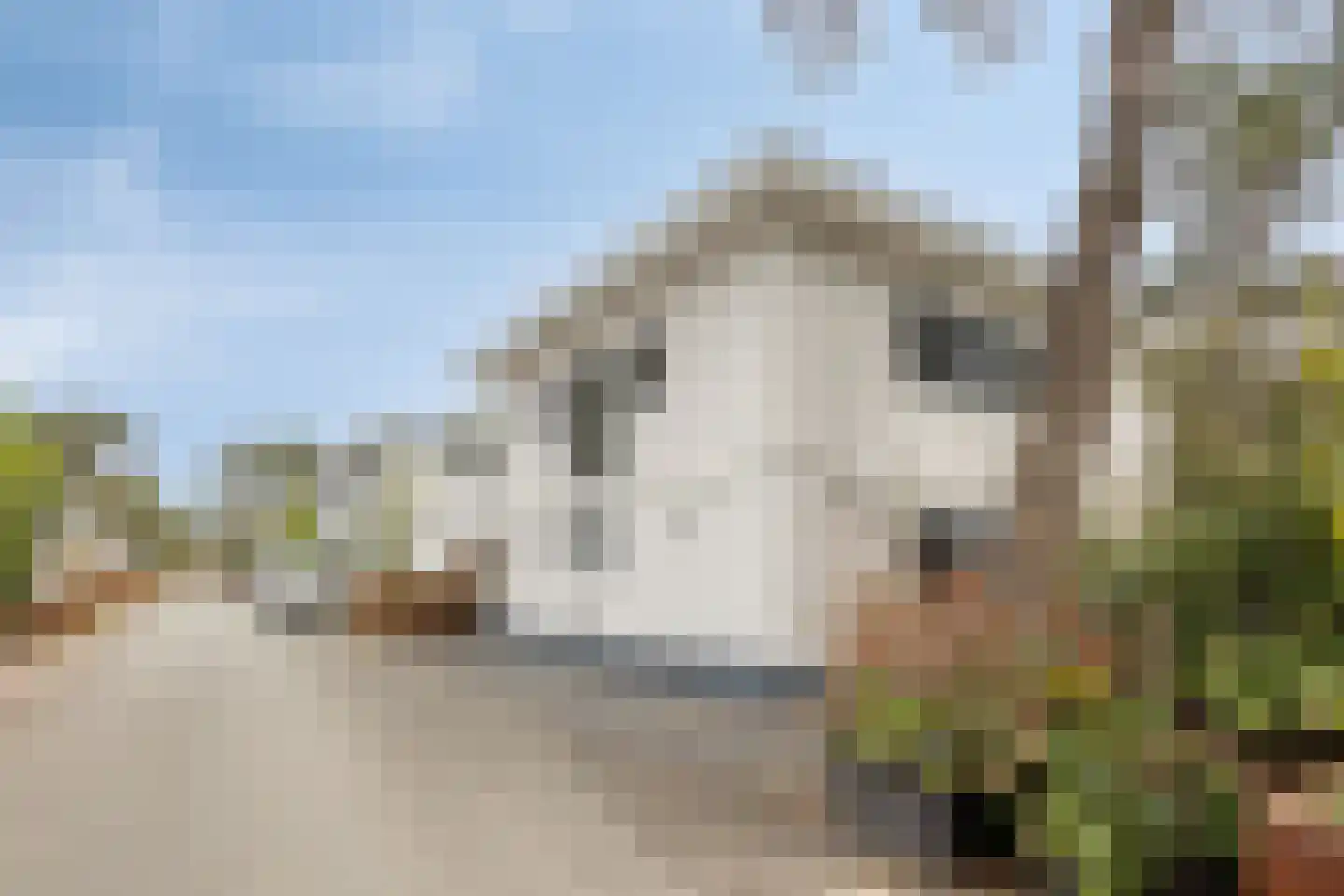 Vijverlaan 1 BG67 Otterlo thumbnail 6
