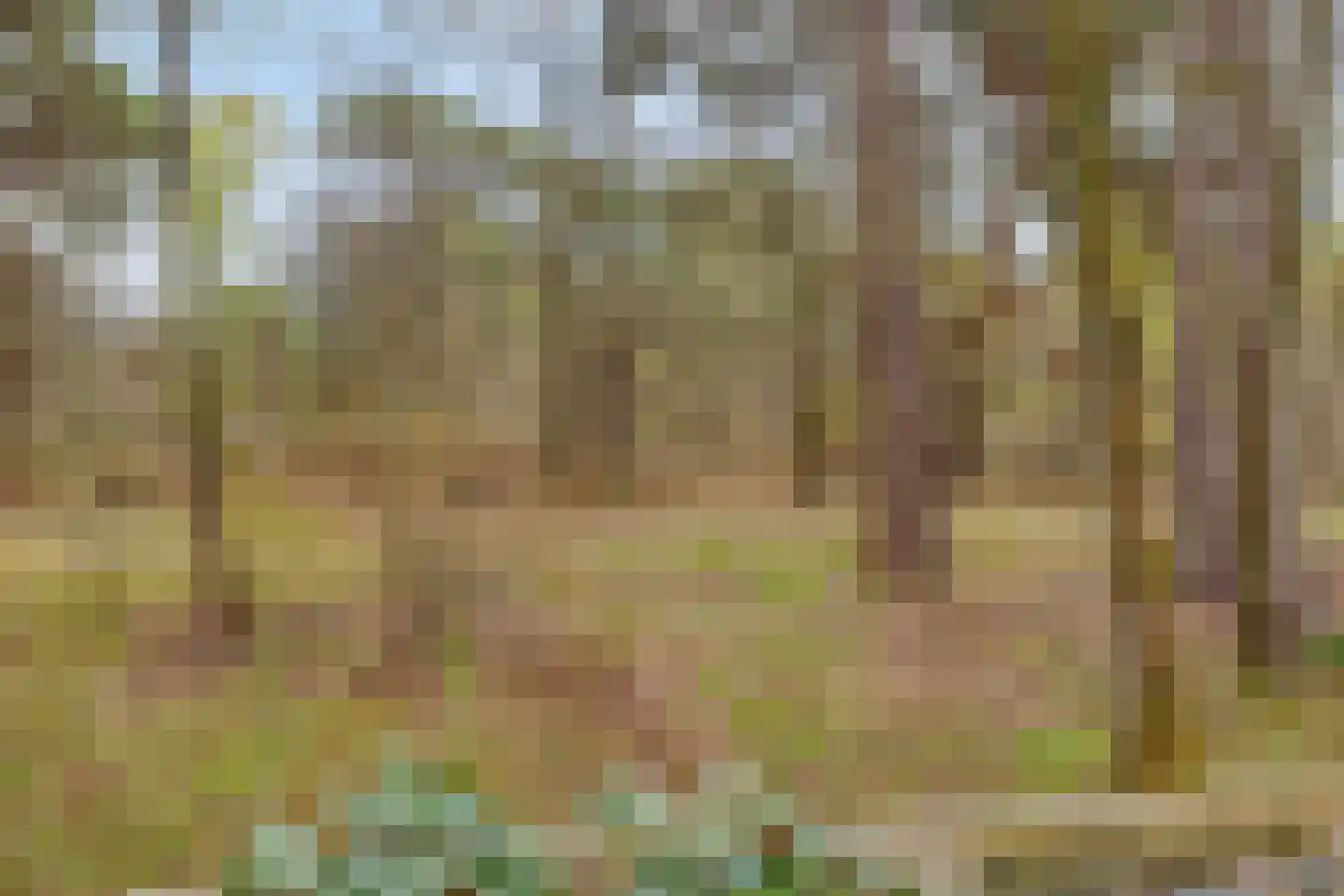 Vijverlaan 1 BG67 Otterlo thumbnail 62