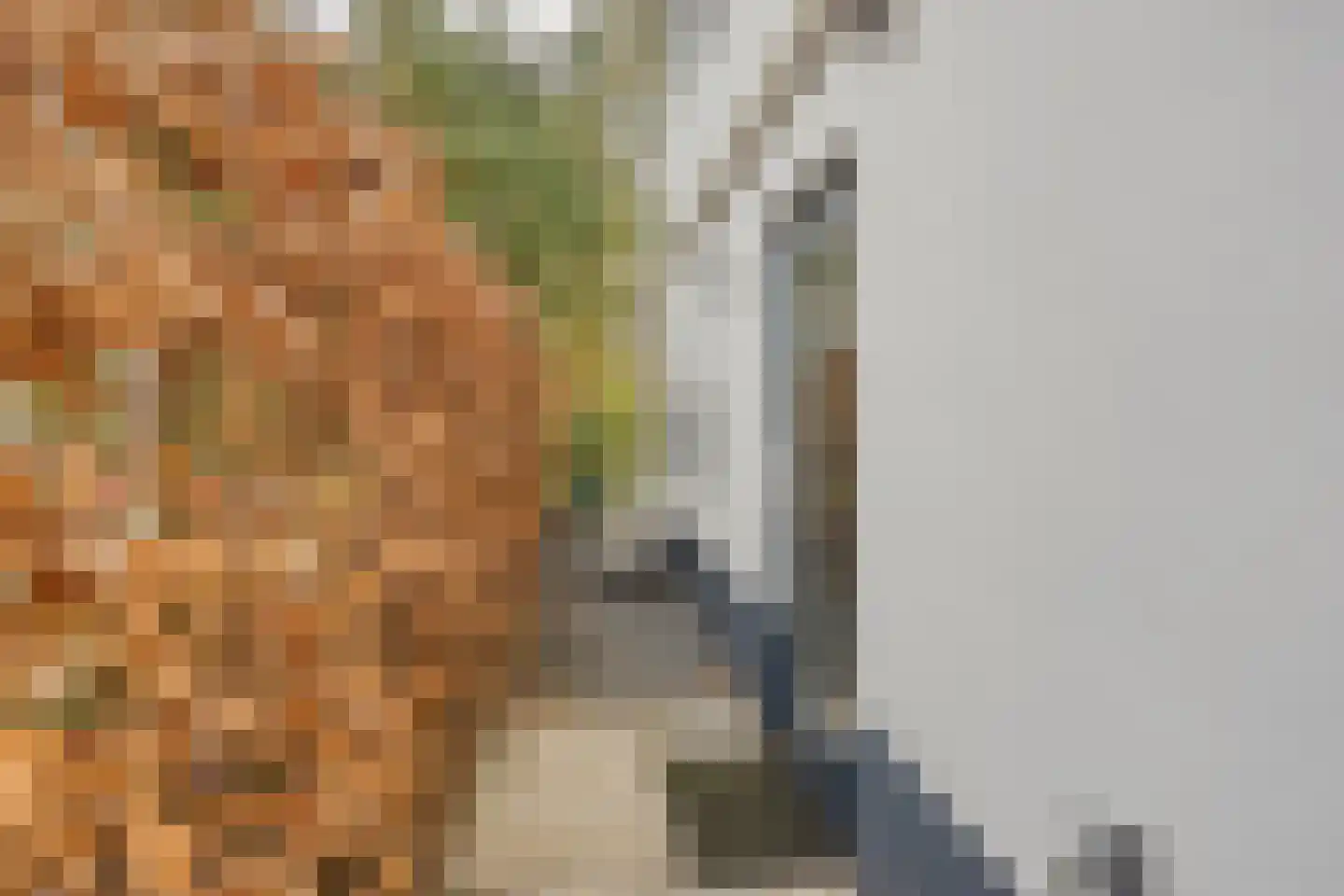 Vijverlaan 1 BG67 Otterlo thumbnail 8