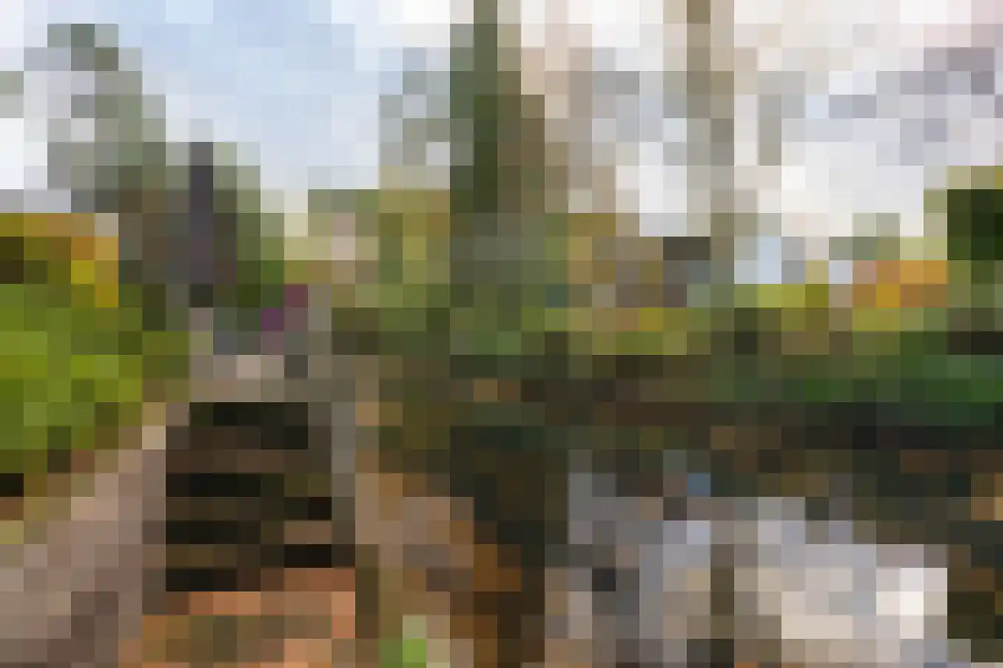 Vijverlaan 1 CA03 Otterlo thumbnail 10
