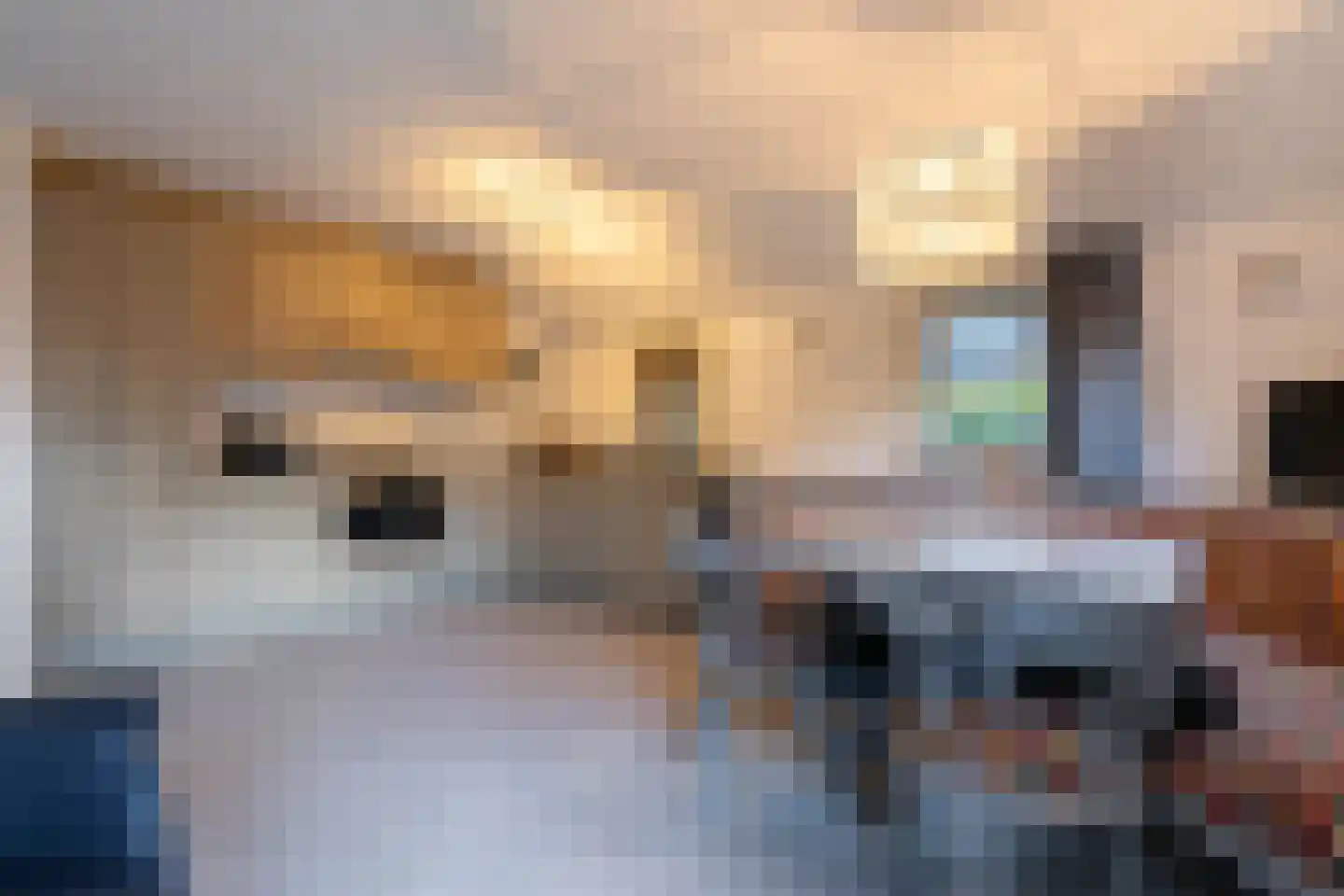 Vijverlaan 1 CA03 Otterlo thumbnail 18