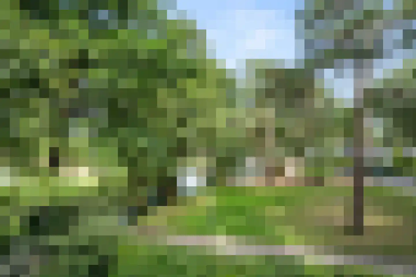 Vijverlaan 1 G1 Otterlo thumbnail 25