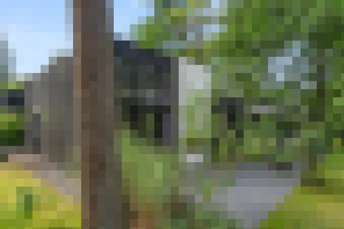 Vijverlaan 1 G1 Otterlo foto 3