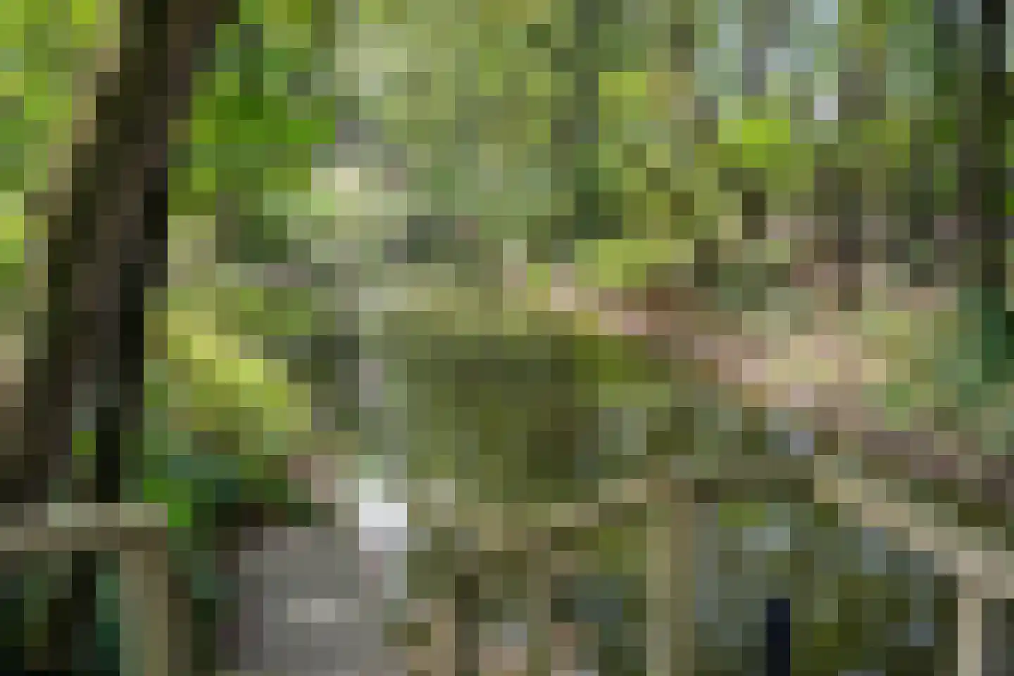 Vijverlaan 1 G1 Otterlo thumbnail 31