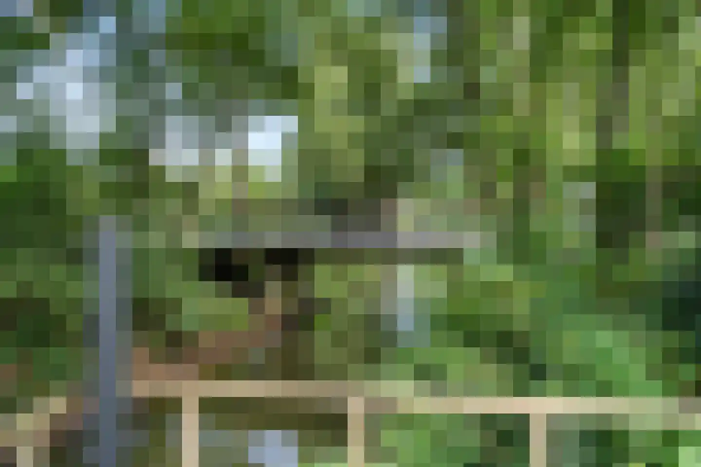 Vijverlaan 1 G1 Otterlo thumbnail 34