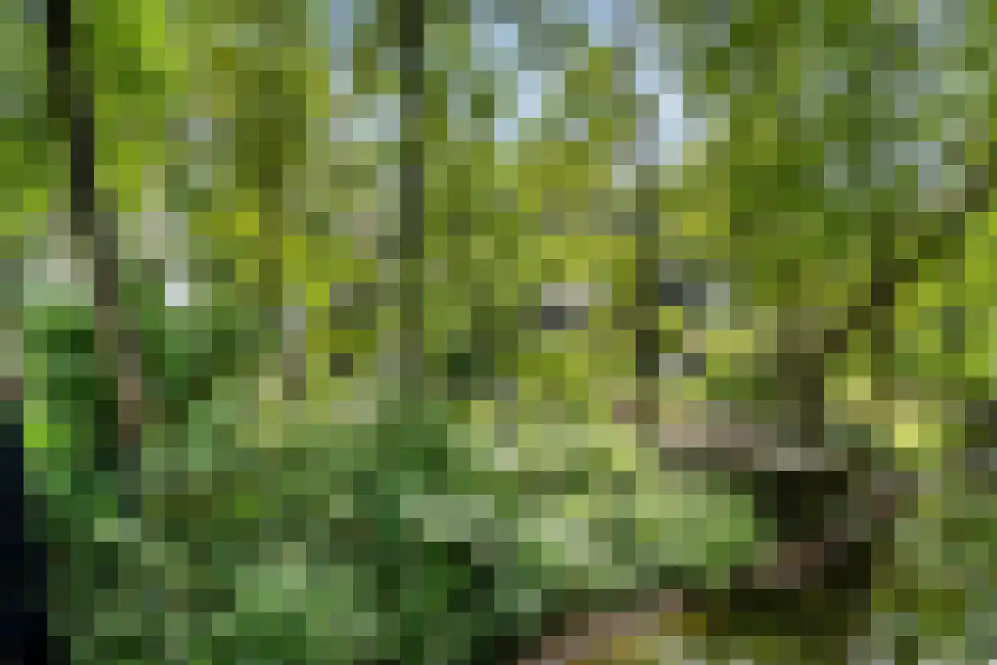 Vijverlaan 1 G1 Otterlo thumbnail 37
