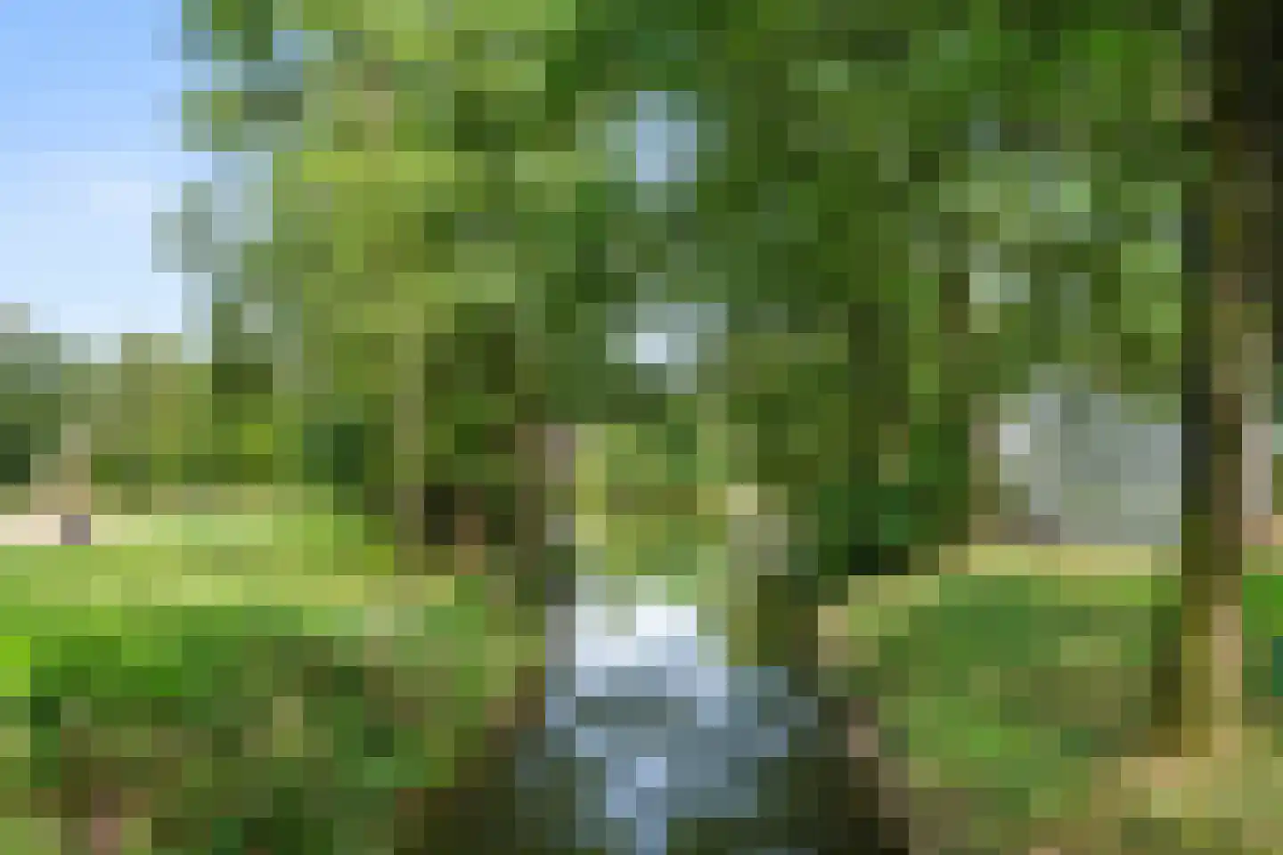 Vijverlaan 1 G1 Otterlo thumbnail 38