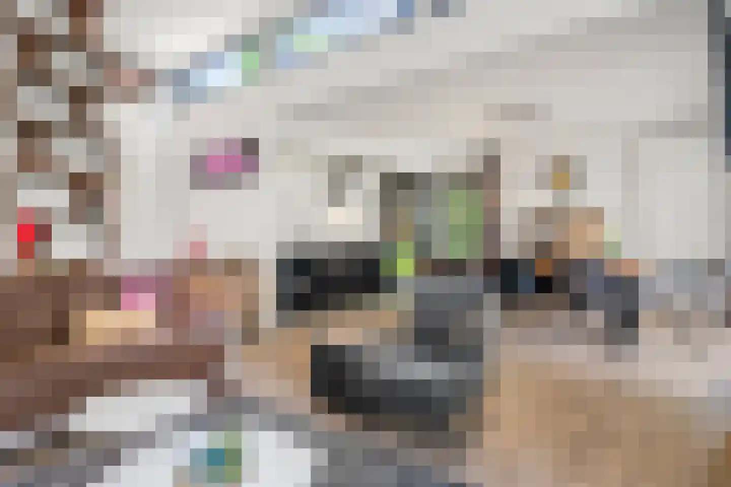 Vijverlaan 1 G1 Otterlo thumbnail 8