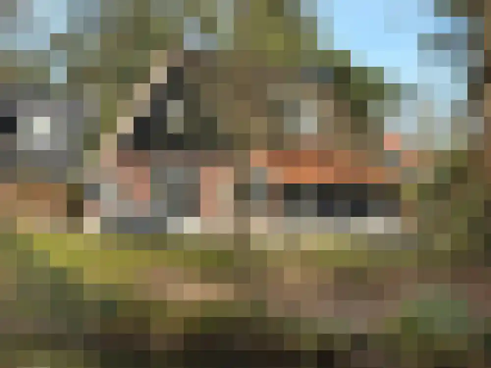 Vijverlaan 1 G13 Otterlo thumbnail 14