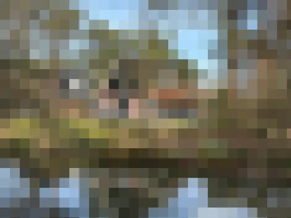 Vijverlaan 1 G13 Otterlo thumbnail 15