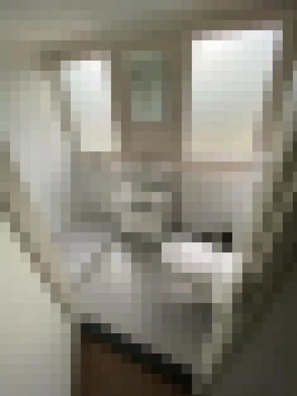 Vijverlaan 1 G13 Otterlo thumbnail 17