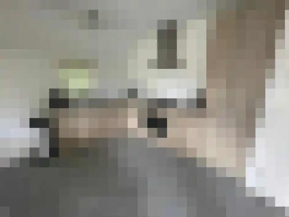 Vijverlaan 1 G13 Otterlo thumbnail 5