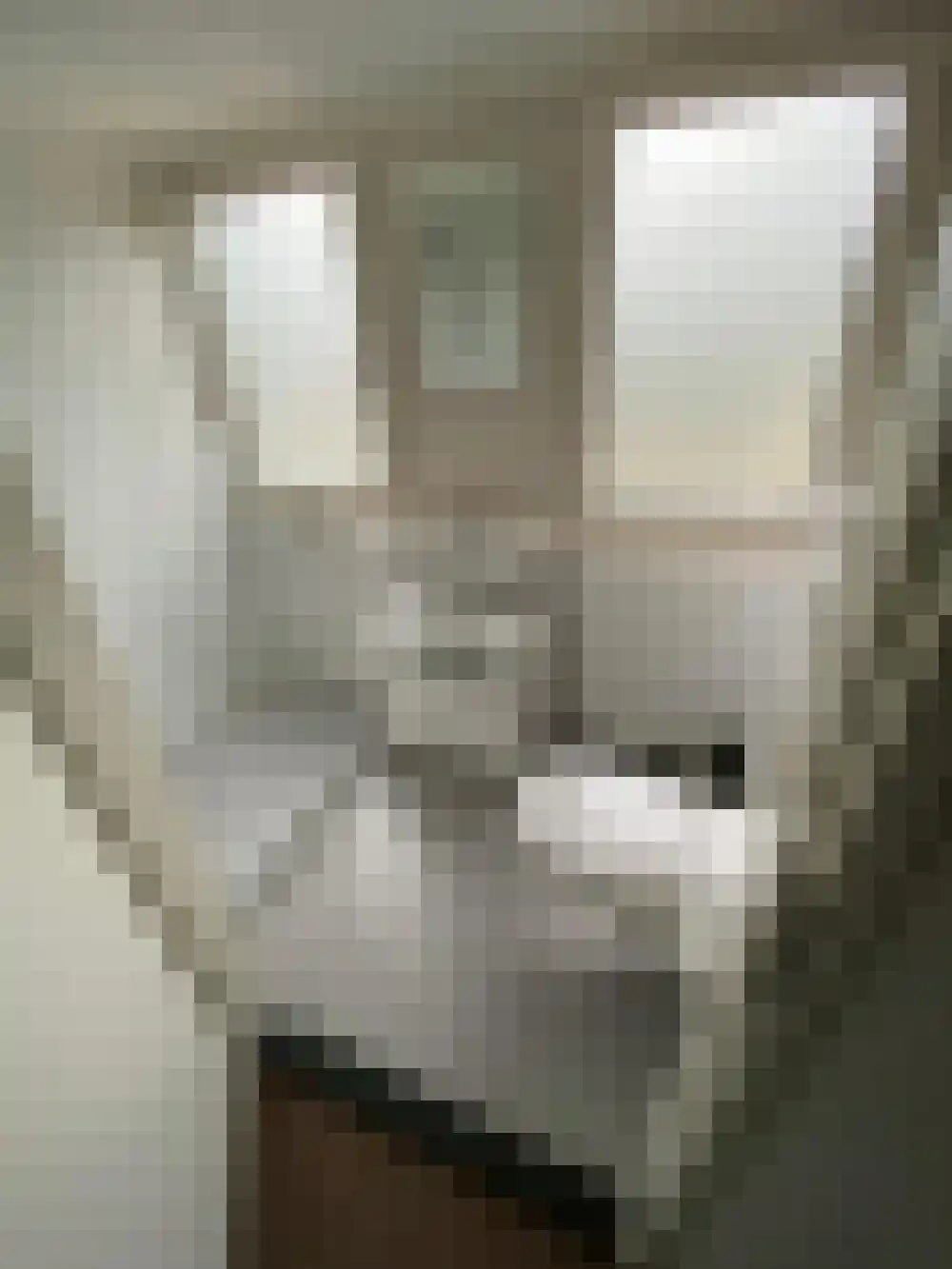 Vijverlaan 1 HA13 Otterlo thumbnail 15