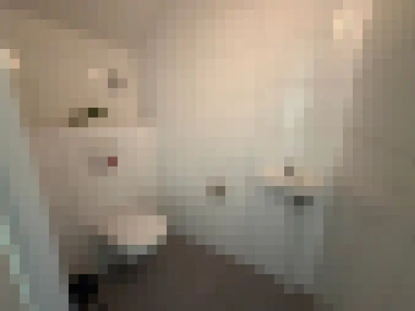 Vijverlaan 1 HA13 Otterlo thumbnail 15
