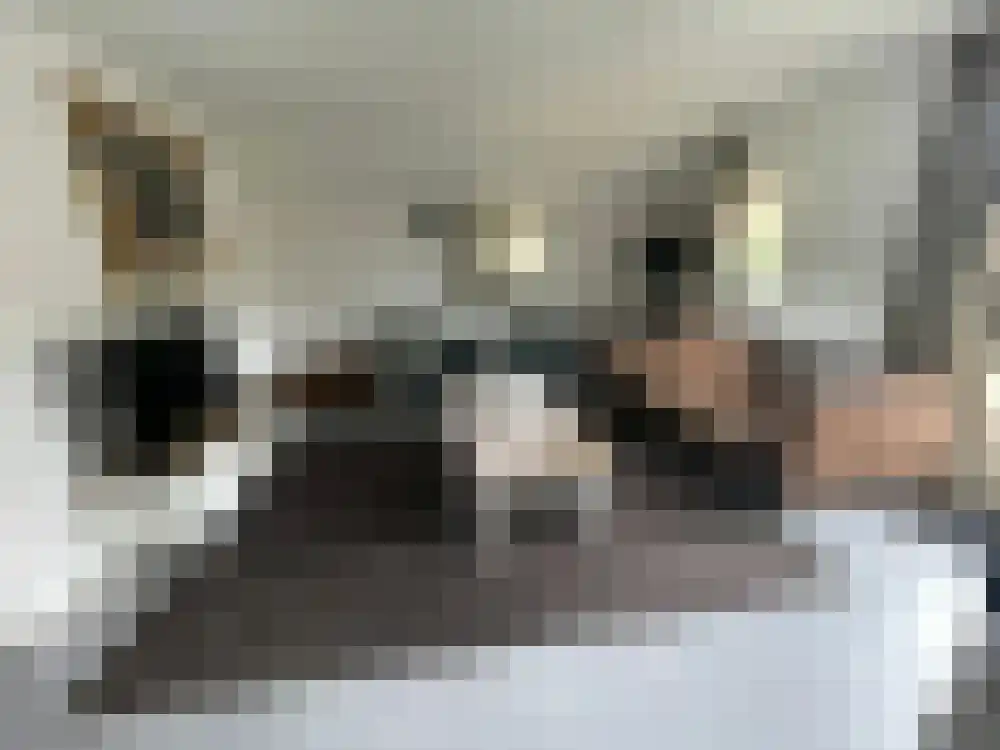 Vijverlaan 1 HA13 Otterlo foto 2