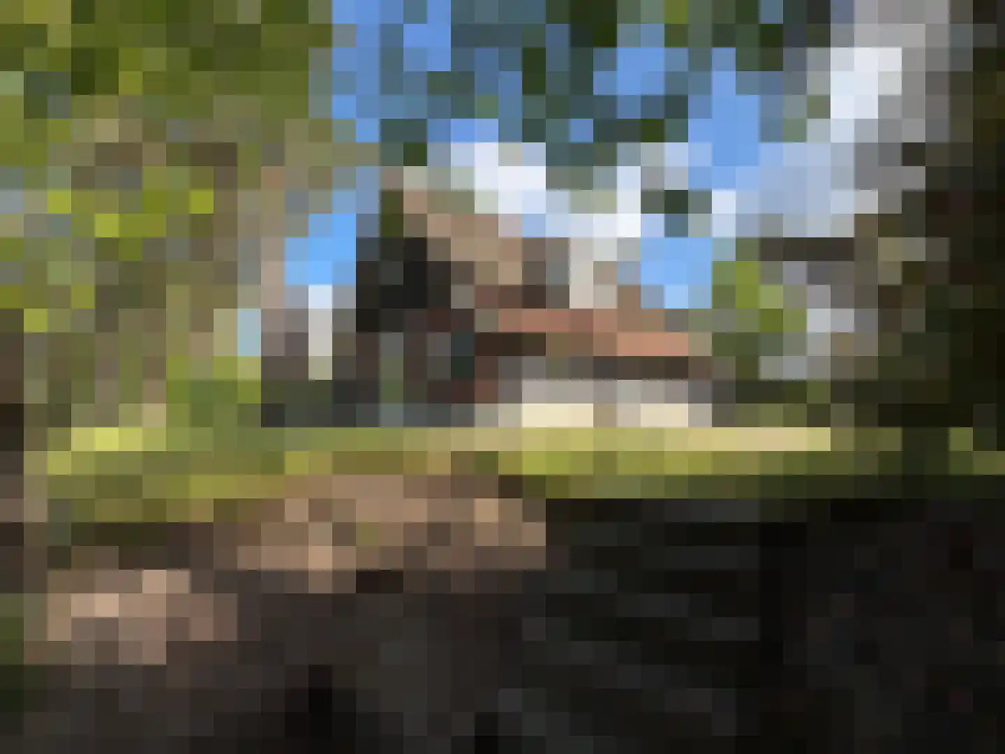 Vijverlaan 1 HA13 Otterlo thumbnail 20