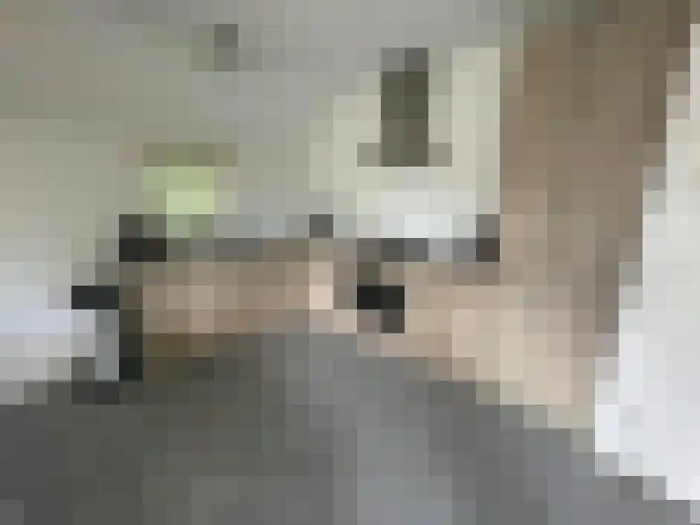 Vijverlaan 1 HA13 Otterlo thumbnail 5