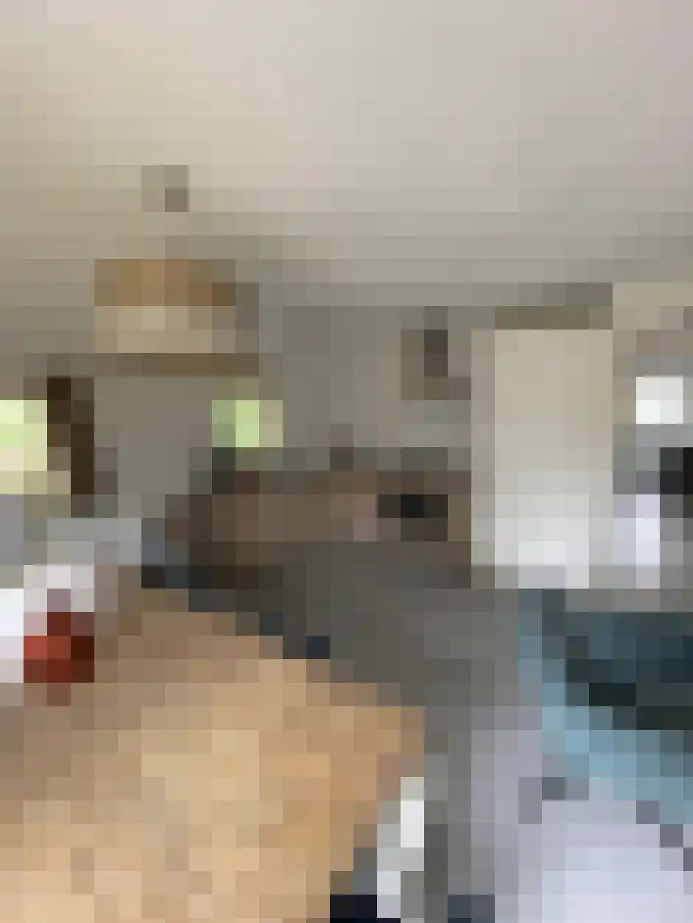 Vijverlaan 1 HA13 Otterlo thumbnail 6