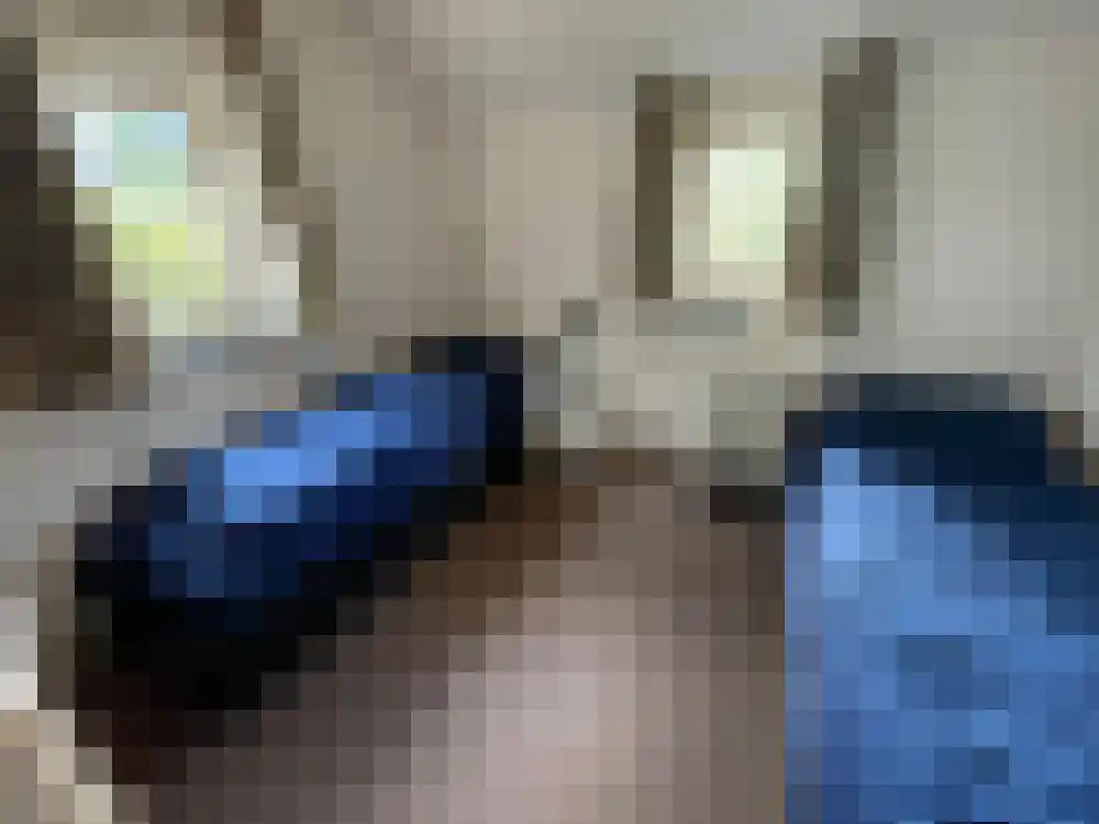 Vijverlaan 1 HA13 Otterlo thumbnail 8