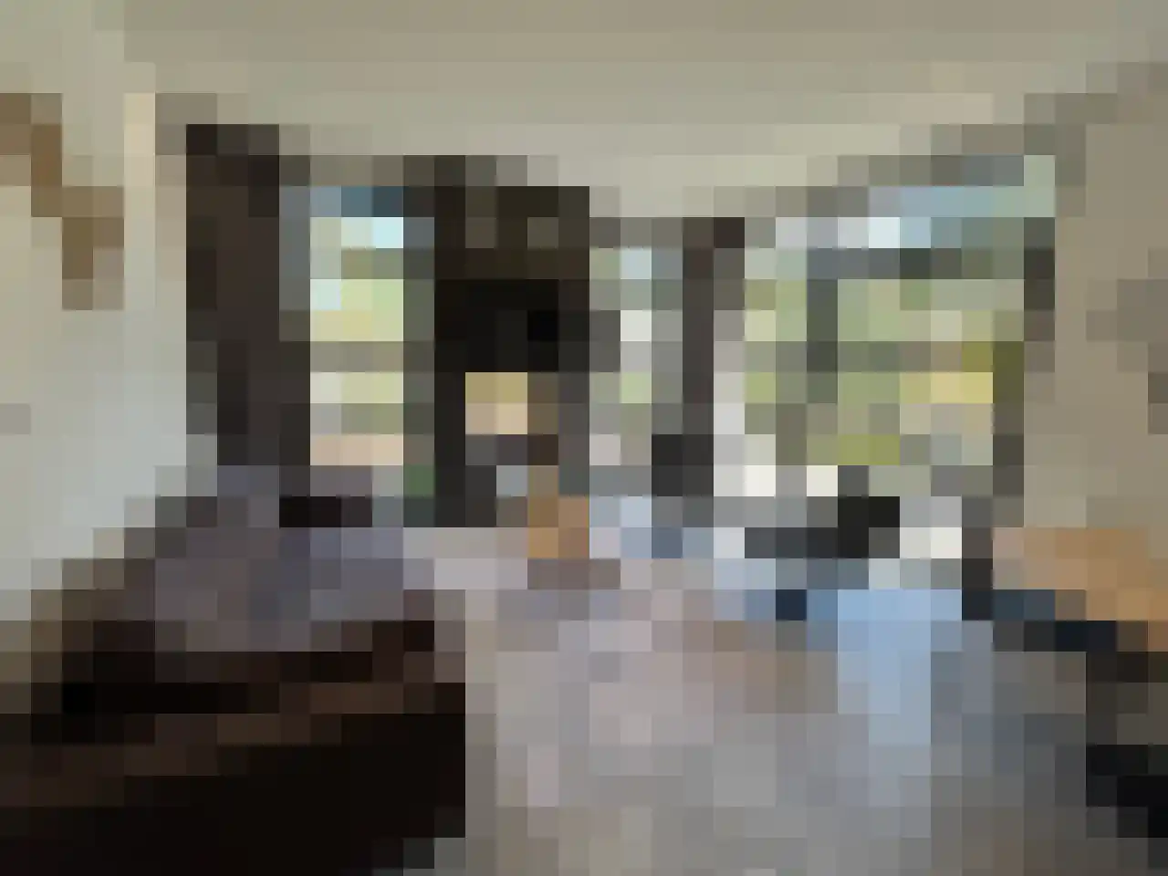 Vijverlaan 1 HV27 Otterlo thumbnail 15