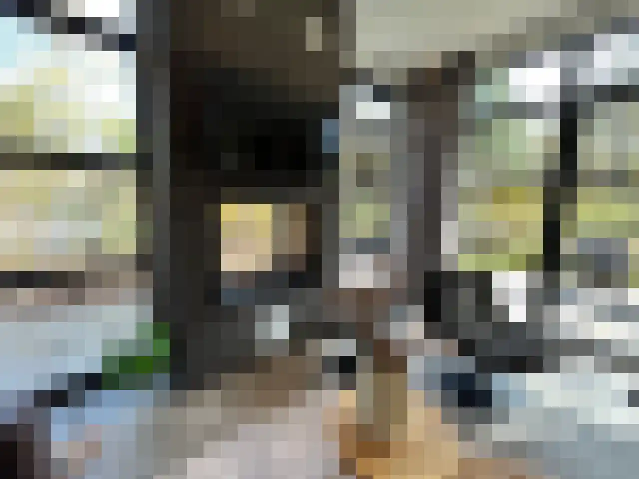 Vijverlaan 1 HV27 Otterlo thumbnail 16