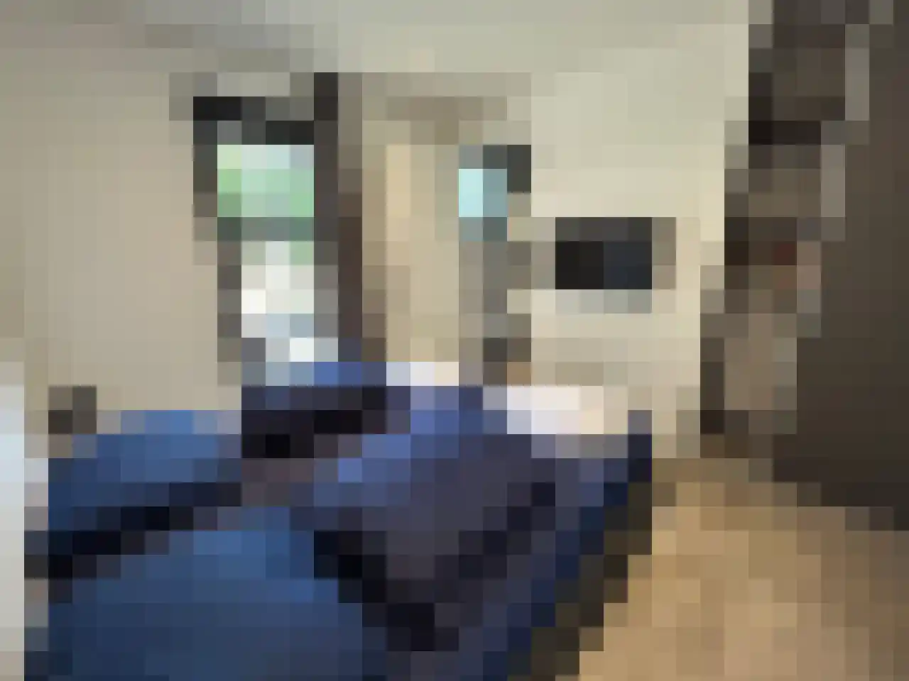 Vijverlaan 1 HV27 Otterlo thumbnail 26