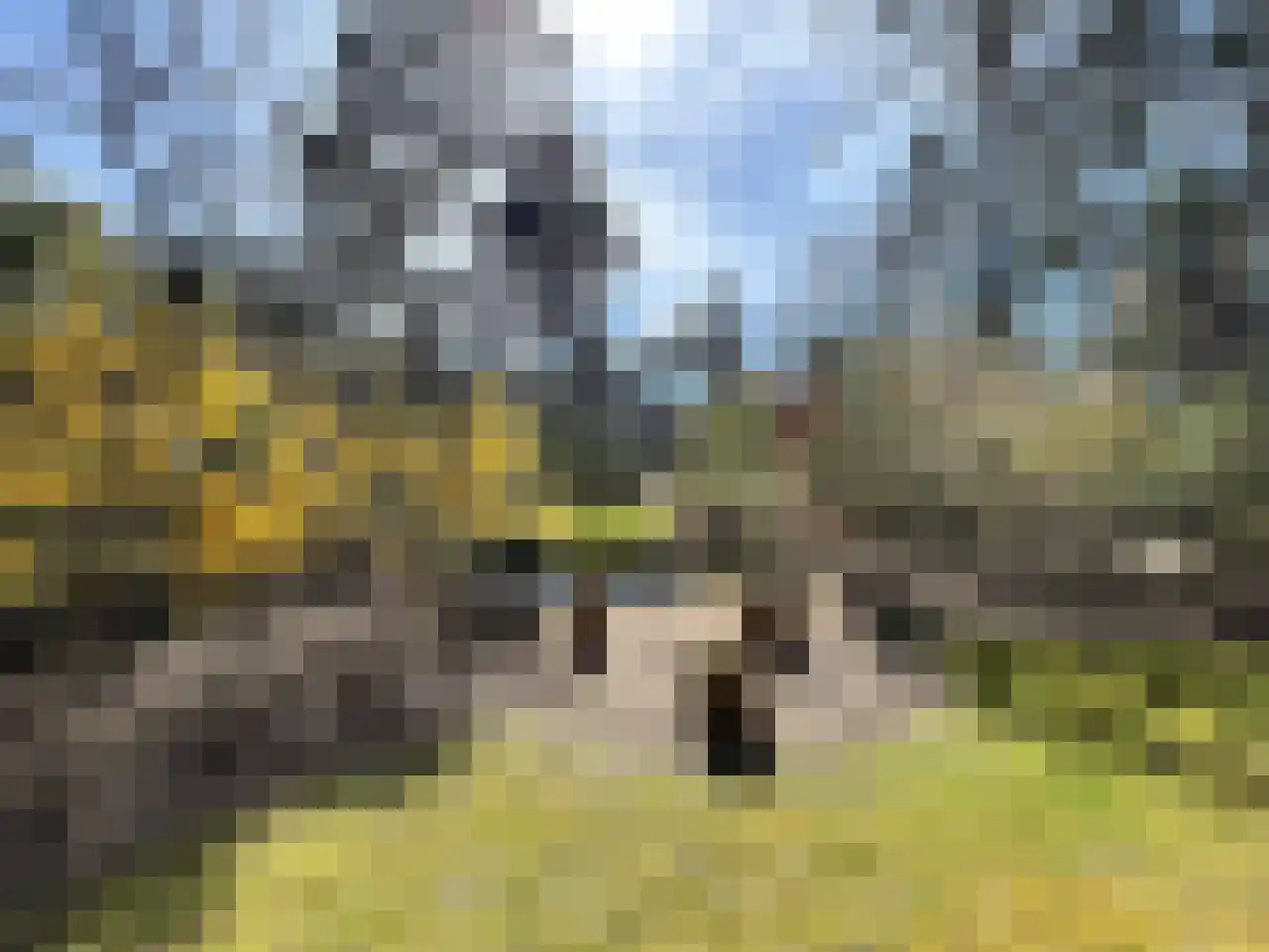 Vijverlaan 1 HV27 Otterlo thumbnail 29