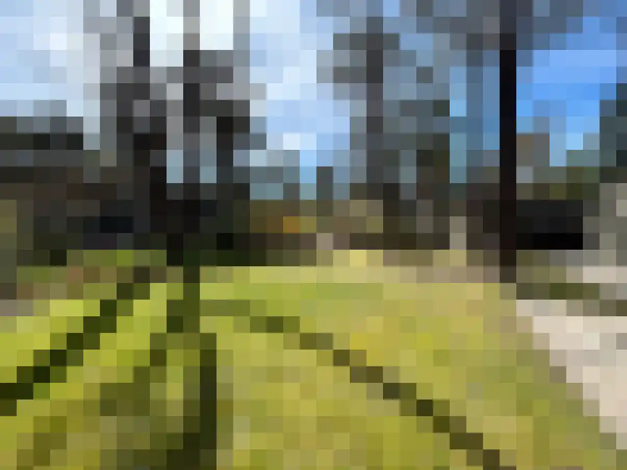 Vijverlaan 1 HV27 Otterlo thumbnail 7