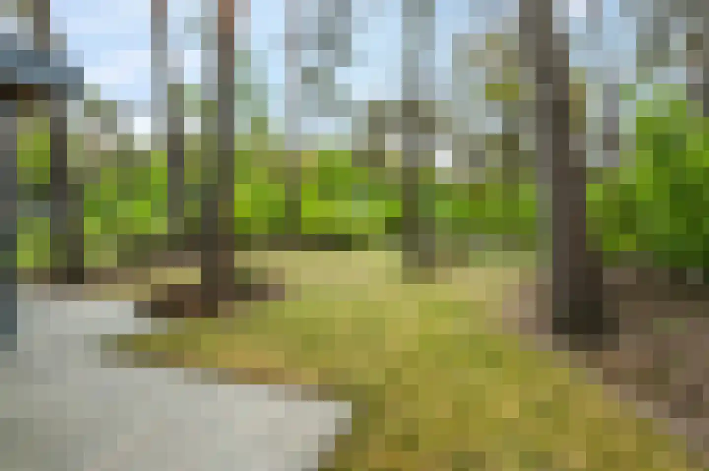Vijverlaan 1 HV31 Otterlo thumbnail 24