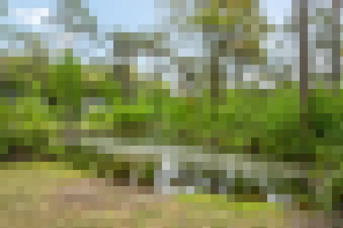 Vijverlaan 1 HV31 Otterlo thumbnail 25