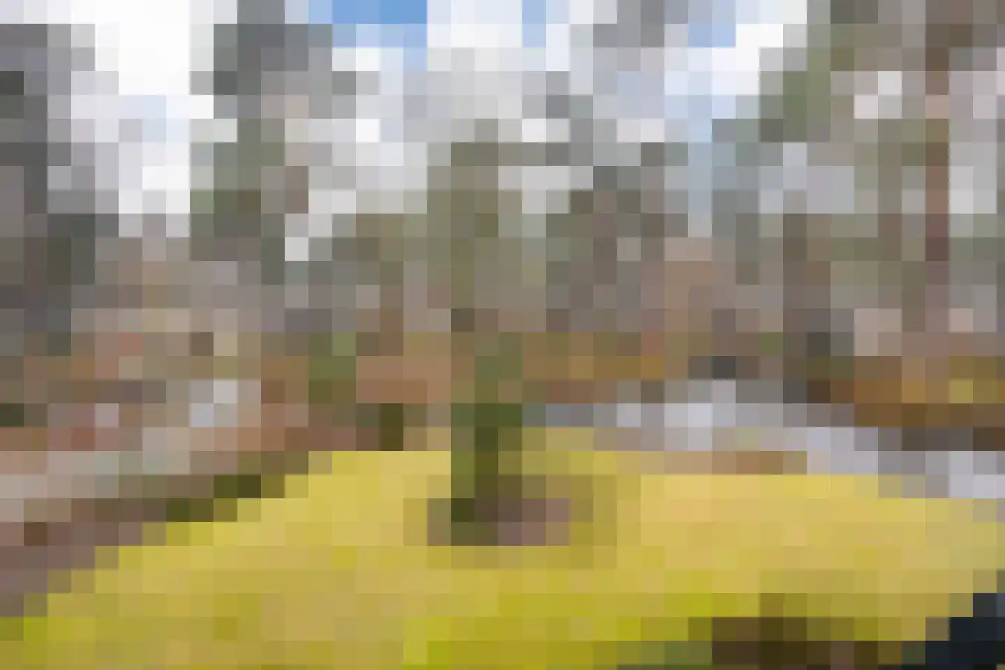 Vijverlaan 1 HV37 Otterlo thumbnail 10