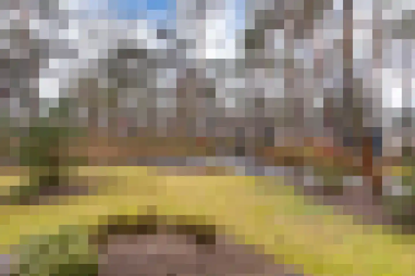 Vijverlaan 1 HV37 Otterlo thumbnail 11