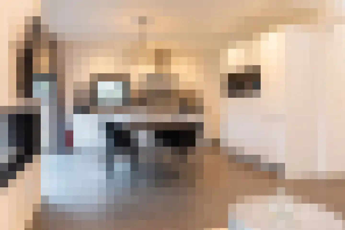 Vijverlaan 1 HV37 Otterlo thumbnail 15