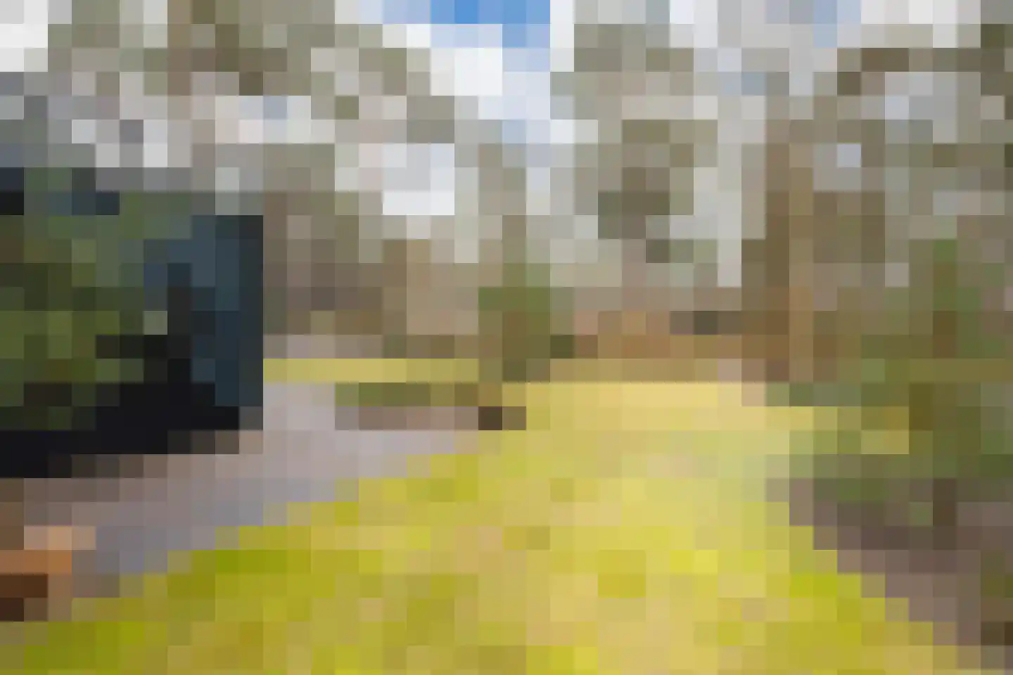 Vijverlaan 1 HV37 Otterlo thumbnail 6