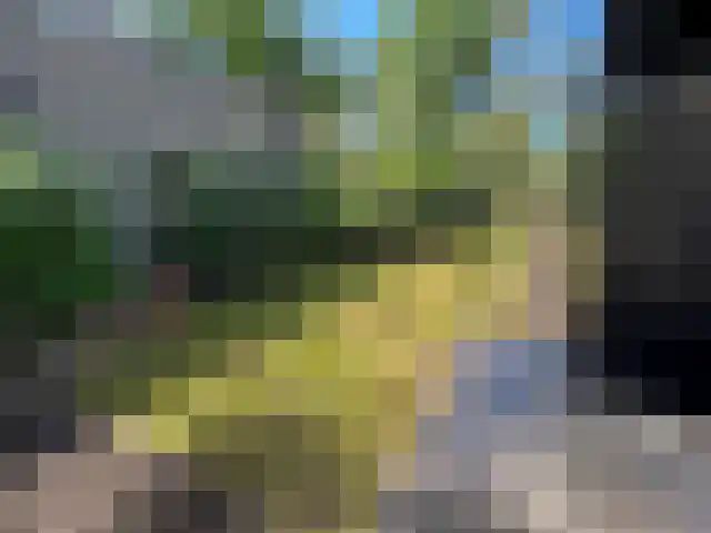 Vijverlaan 1 HV42 Otterlo thumbnail 13