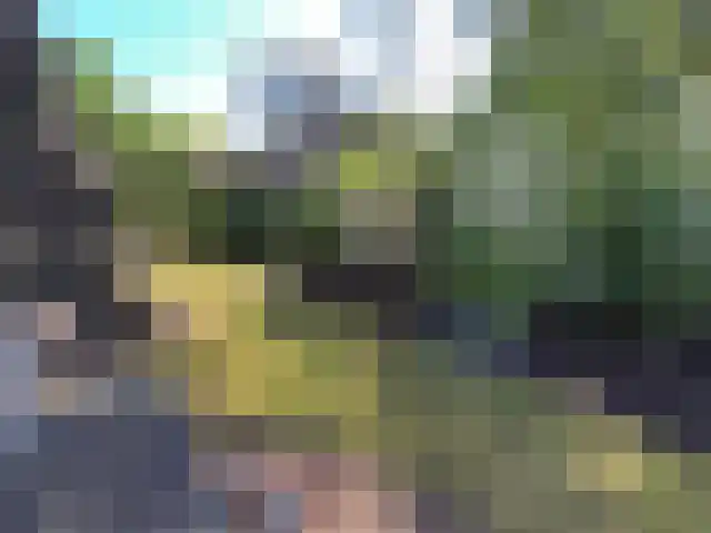Vijverlaan 1 HV42 Otterlo thumbnail 14