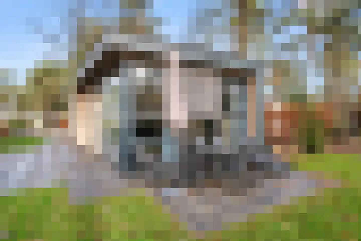 Vijverlaan 1 HV55 Otterlo thumbnail 5