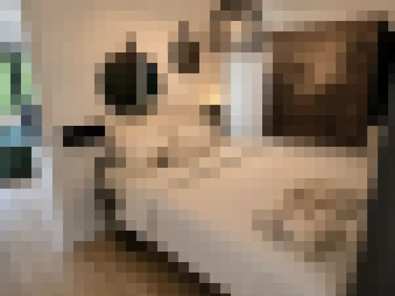 Vijverlaan 1 J10 Otterlo thumbnail 12