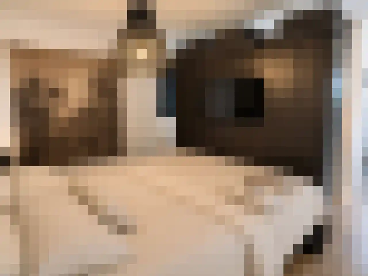 Vijverlaan 1 J10 Otterlo thumbnail 13