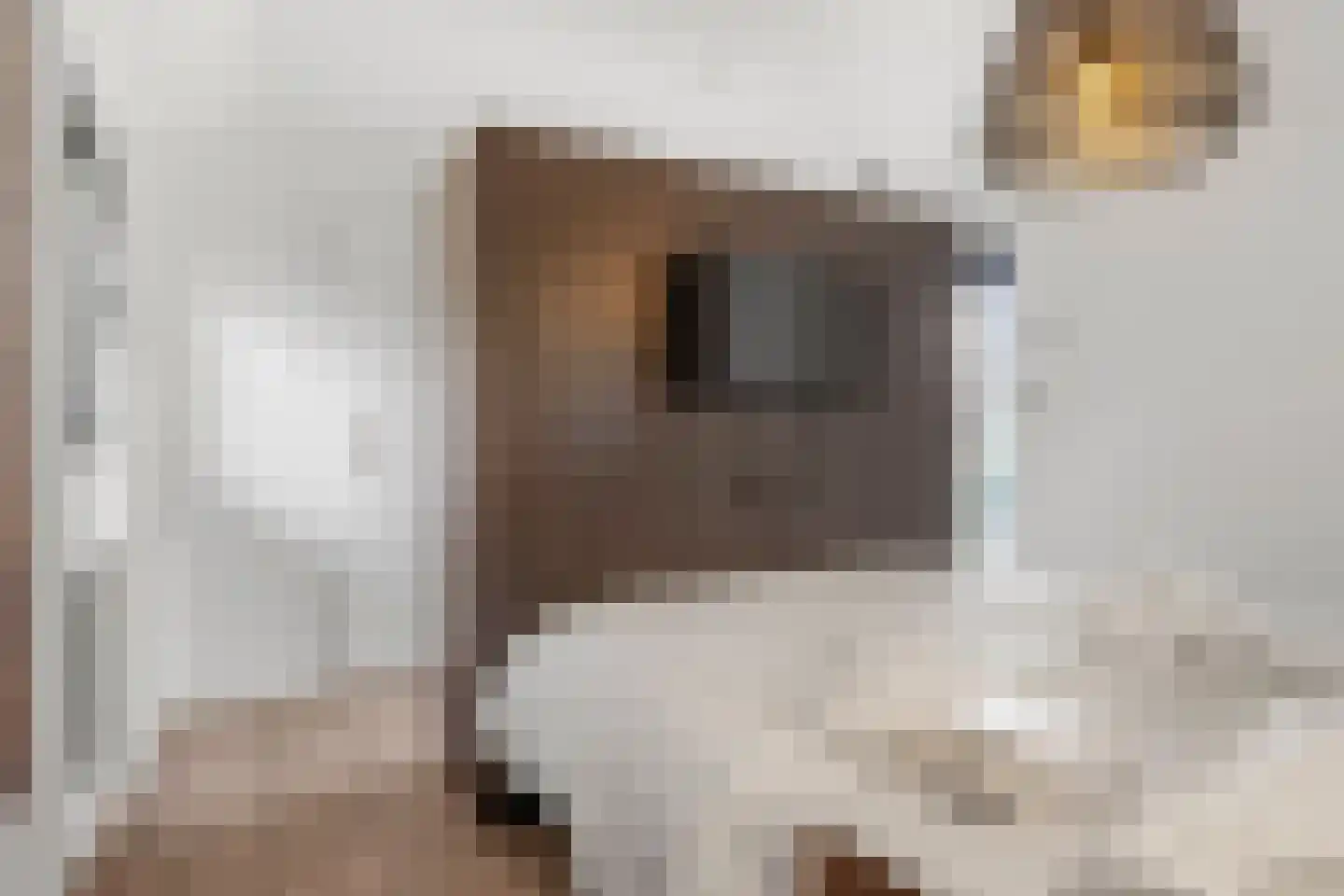 Vijverlaan 1 J10 Otterlo thumbnail 14