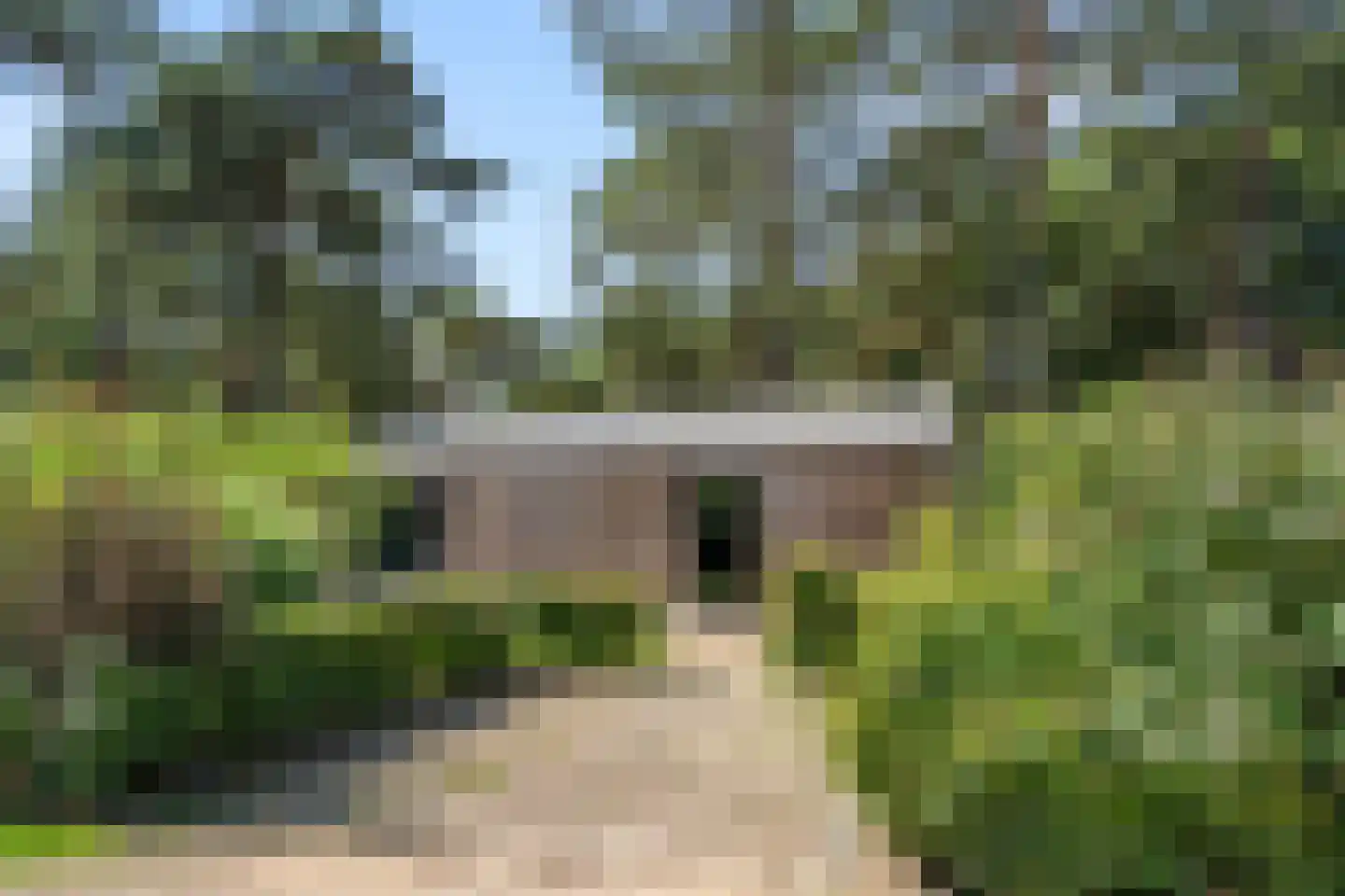 Vijverlaan 1 J10 Otterlo thumbnail 22